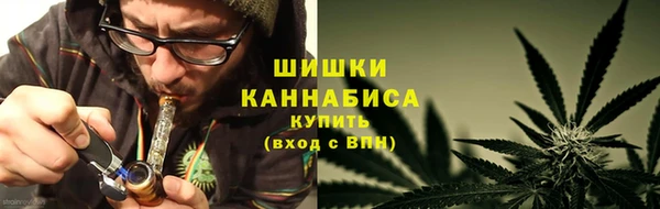 PSILOCYBIN Верхний Тагил