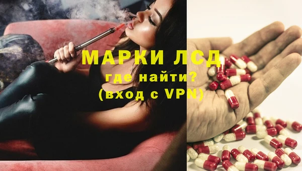PSILOCYBIN Верхний Тагил