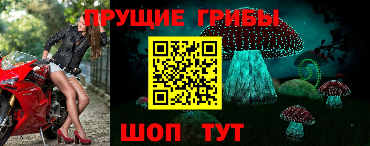 где можно купить   Вход с VPN  Можайск  Псилоцибиновые грибы мицелий 